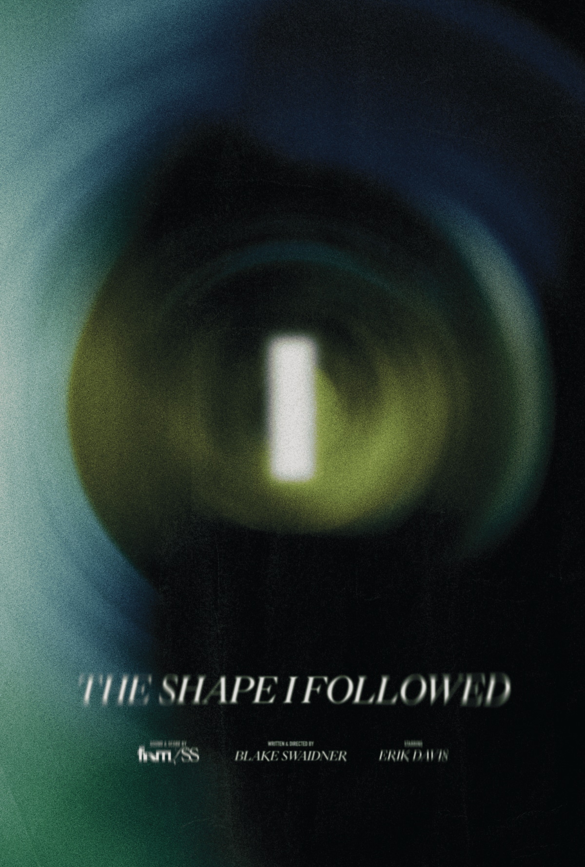 Poster for The Shape I Followed.